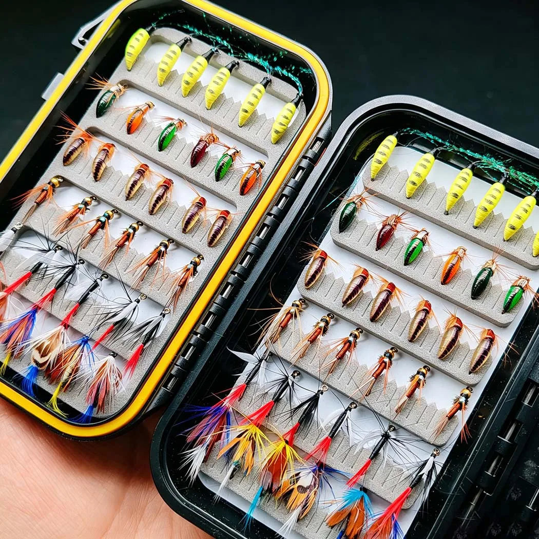 Fly Fishing Flies Kit With Dry Wet Flies and Nymphs