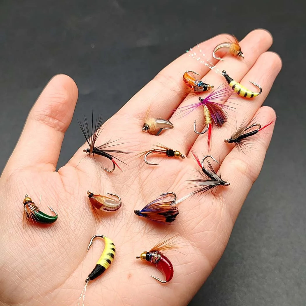 Fly Fishing Flies Kit With Dry Wet Flies and Nymphs