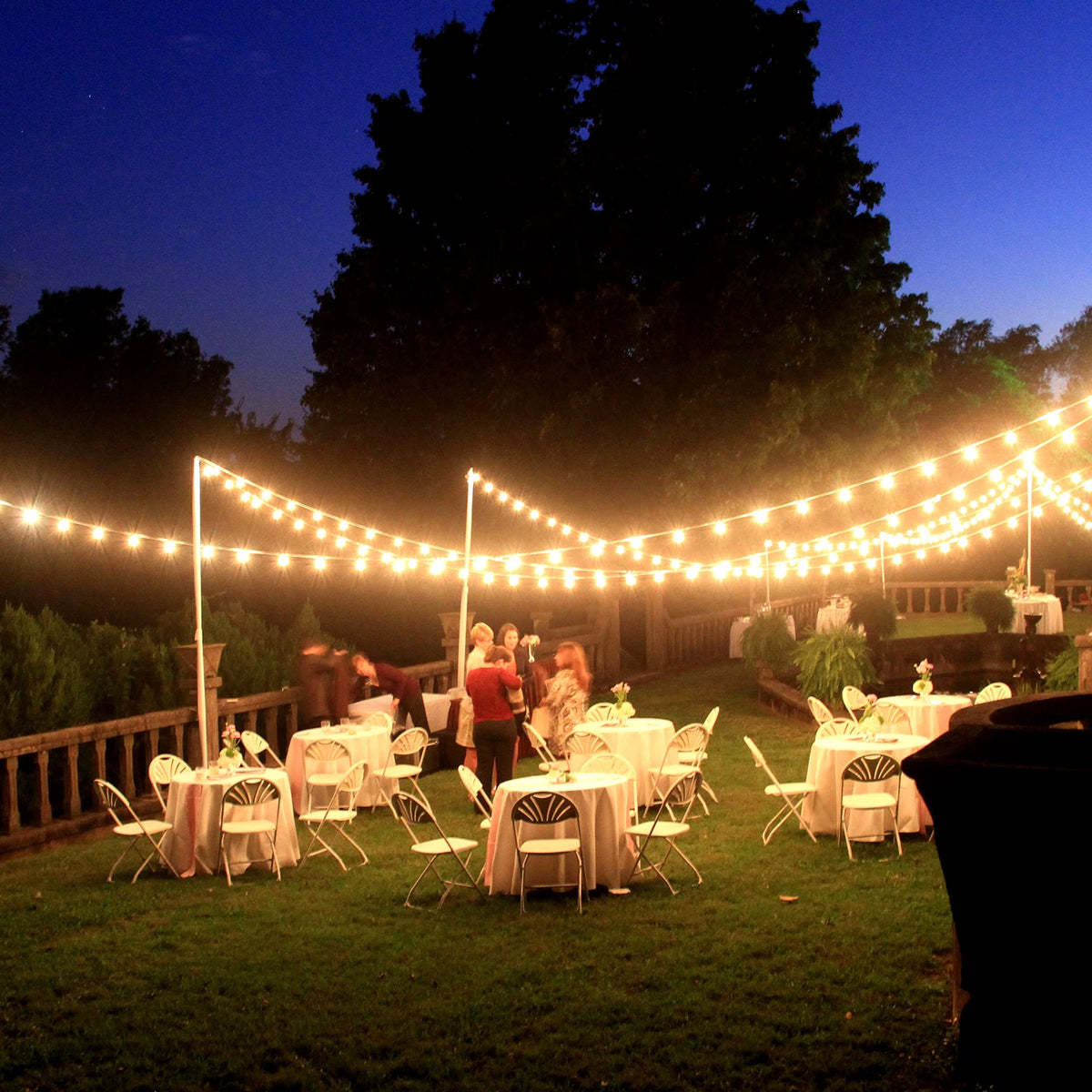 LED Globe String Lights With Warm White Replaceable Bulbs