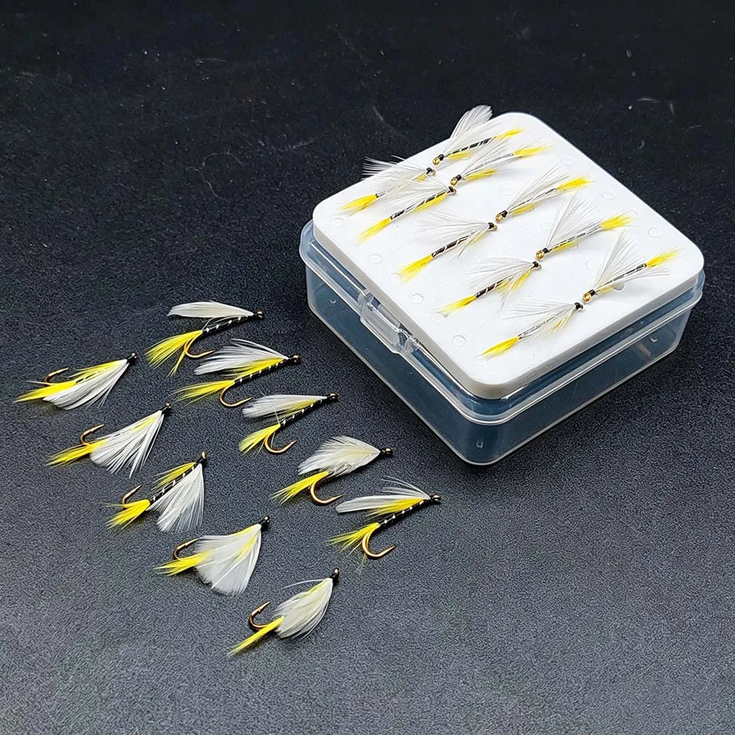 Fly Fishing Flies Kit With Dry Wet Flies and Nymphs